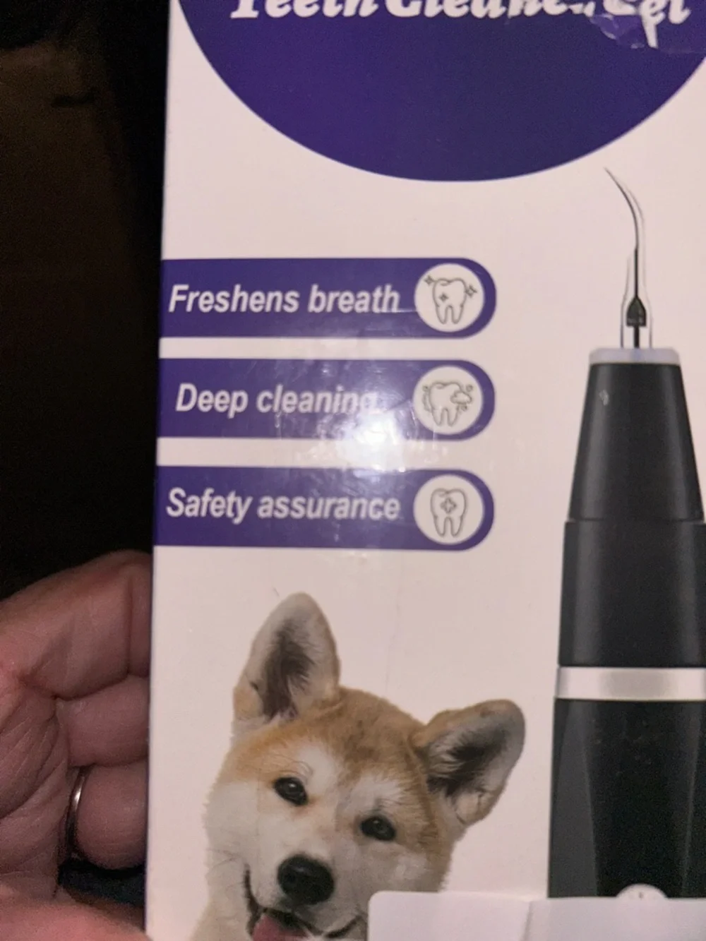 Whomior Pet Ultrasonic Teeth Clean Set in Purple and White